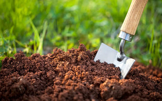 Why Soil Preparation is key to a Healthy Spring Garden