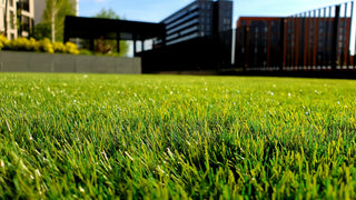Spring Lawn Care Checklist: From Weeds to Watering