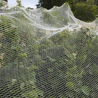 Silvereye Ultranet White Birdnetting - 13m x 100m