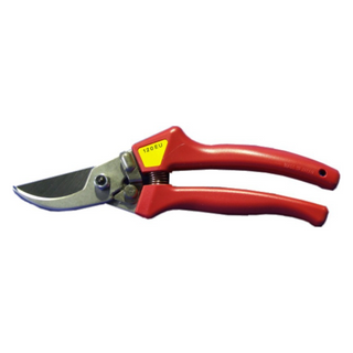 ARS Popular Bypass Secateur