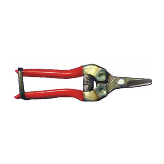 ARS 300 Fruit Snip