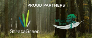 StrataGreen partners with Trillion Trees