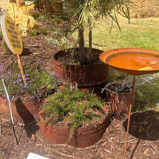 Rethinking the WA Garden: Firewise, Waterwise & Rewild