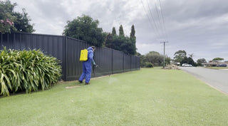 Choosing the Right Herbicides for Combating Weeds