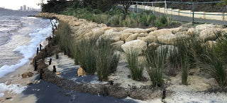 Prevent Erosion with Coir Matting