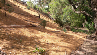 Winter Erosion Control: How to Protect Landscapes During Heavy Rain