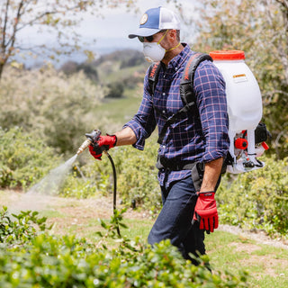 Spring Insecticide Spraying: Identifying and Treating Common Garden Pests Early