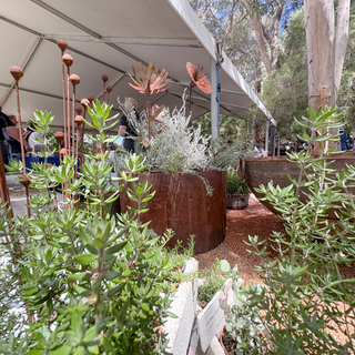 Building Fire-Resilient Landscapes