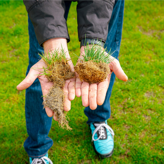 Why Soil Moisture Balance Is the Foundation of Every Successful Planting Project