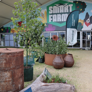 Building a Firewise Future