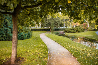 Landscaping and Turf Maintenance Tips for Autumn