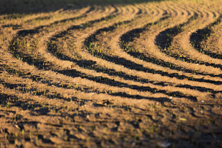 The Role of Erosion Control Products During Winter Planting