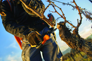 Just in time for pruning: Secateurs at StrataGreen