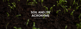 Understanding Soil Acronyms: A Practical Guide for the Industry