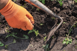 Learn the science of soils