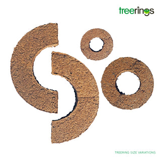 Treerings precision fertiliser placement optimising the nutrition of trees or shrubs