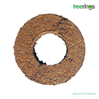 Treerings precision fertiliser placement optimising the nutrition of trees or shrubs