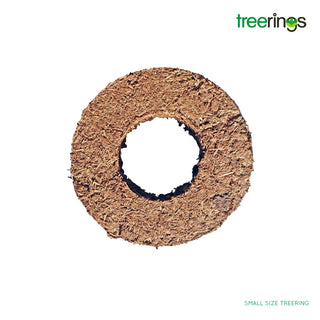 Treerings Small precision fertiliser placement