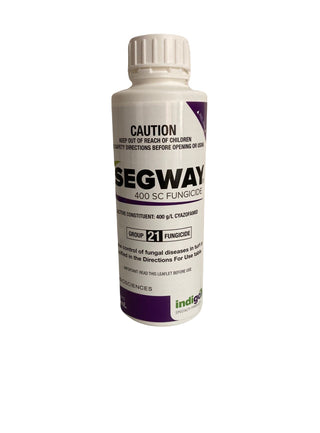 Segway 400SC Fungicide