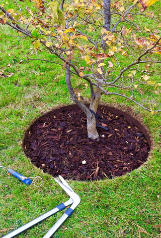 EverEdge Garden Rings