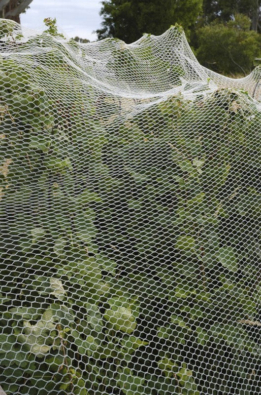 Silvereye BirdNet - Black - Prepack 5x5m – StrataGreen