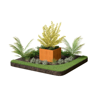 A square raised garden bed planter with a rusted orange metal container, filled with a yellow flowering shrub and surrounded by green grass, small silver plants, and two palm-like foliage plants, shown on a plain white background.