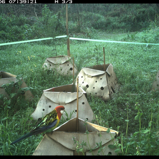 ReHabitat Plant Pod