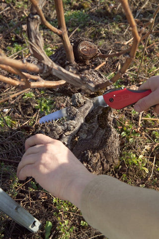 Felco 600 Folding Saw - 16cm