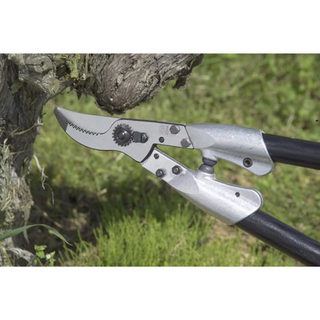 Felco Easyreach Alumium Lopper