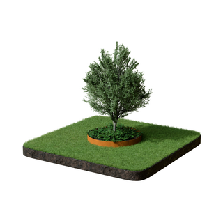Formline Tree Ring - 150mm x 1200mm