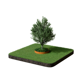 Formline Tree Ring - 150mm x 900mm
