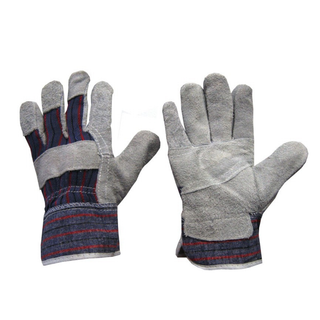 General Purpose Glove