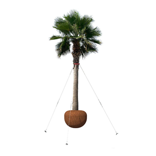 Hulk Palm Tree Guy Kit