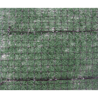 Landlok 450 Turf Reinforcement Mats