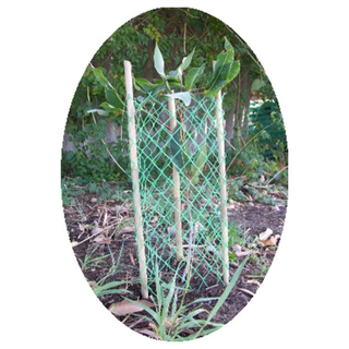 Mesh Sapling Guard