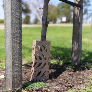 Sentree Sapling Protector - 230mm