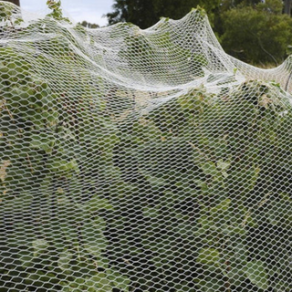 Silvereye Econonet White Birdnetting - 5mx100m