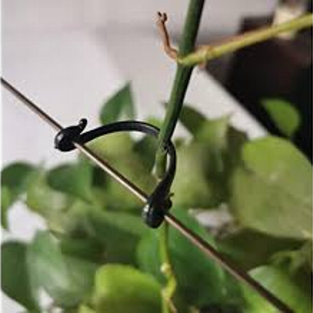 TwigLock Trellis Clip – StrataGreen