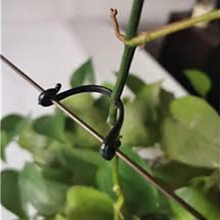 TwigLock Trellis Clip