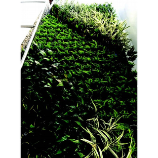 VersiWall GP Planter Tray