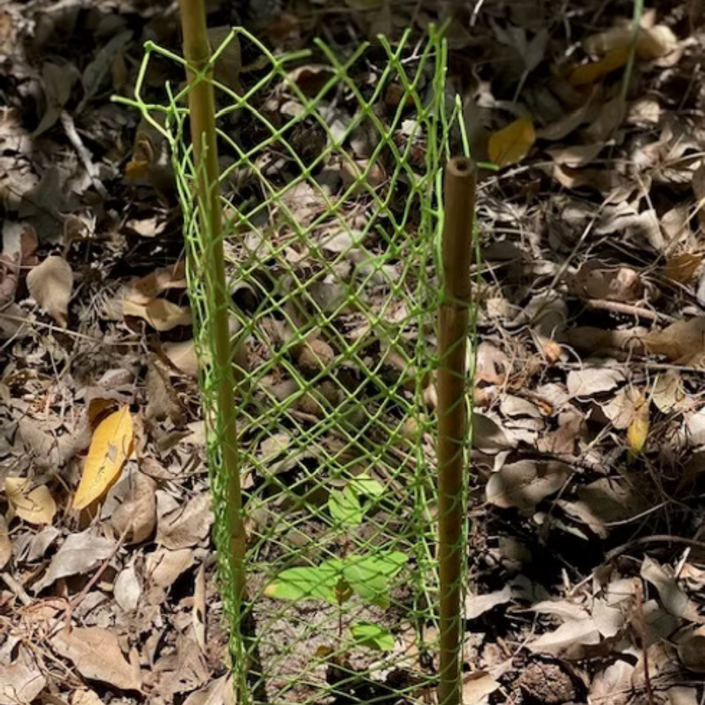 Eco Mesh Tree Guard Sleeve – StrataGreen