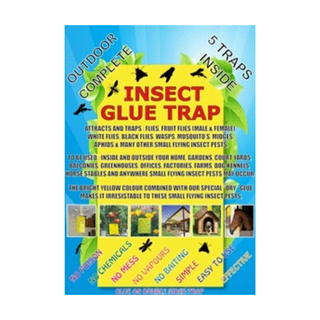 Insect Glue Traps