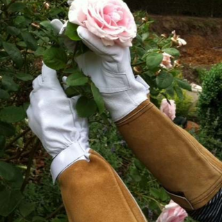 Long Pruning Gauntlet