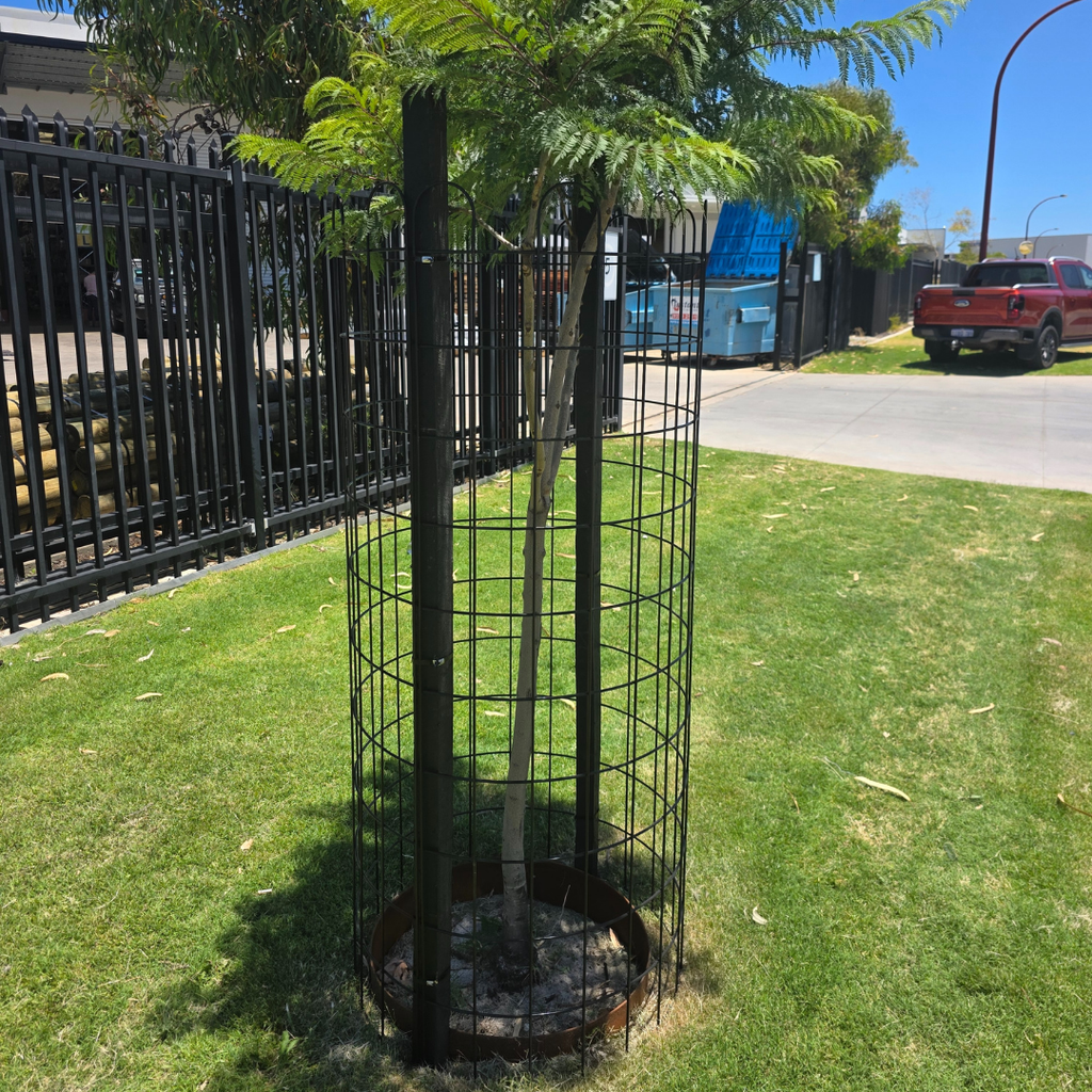 Urbania Black Powdercoated Steel Mesh Tree Guard – 1600mm x 700mm Diam ...