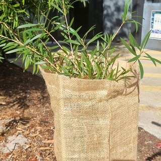 Ekotek Hessian Tree Sleeves