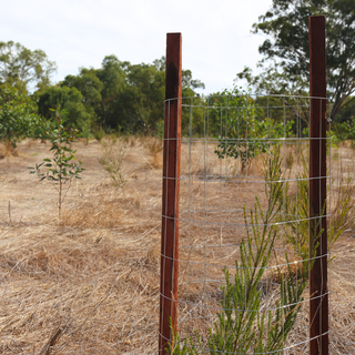 Mesh Kangaroo/Wallaby Tree Guard - 20/pack