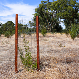 Mesh Kangaroo/Wallaby Tree Guard - 20/pack