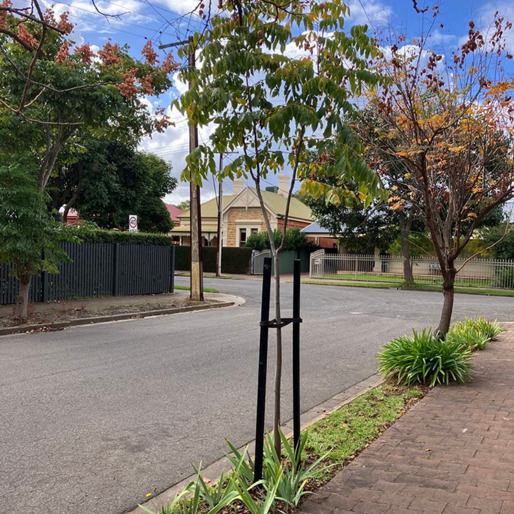 Strata Tree Box Plastic Tree Stake – 38mm x 38mm x 1800mm – StrataGreen