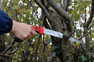 Felco Pruning Saw - 33cm