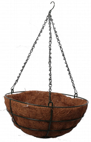 Rally Hanging Basket